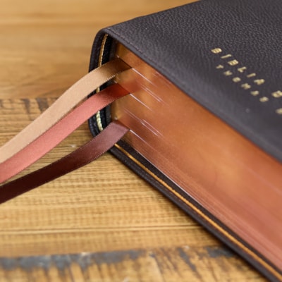 image_38017344-7e48-40e9-8212-29e639e81210