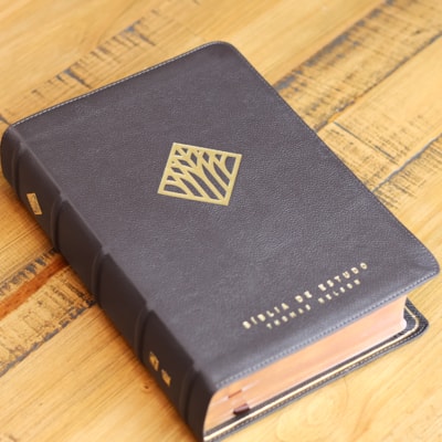 image_a9d05f16-2579-495a-8894-fb485b9437ef