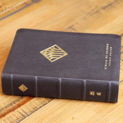 image_92a284eb-0f4b-4f03-bd7b-0a814a57d1ea