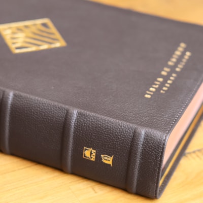 image_9295d39c-6051-4412-a9b8-1e3e75a365a1