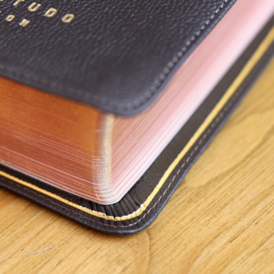 image_b6463f38-68be-459d-946e-5e46e4388dfa