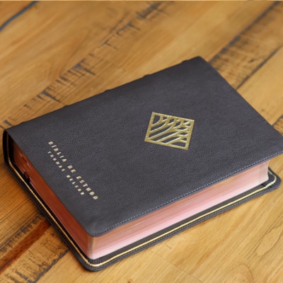 image_b7bbffec-f53b-4ecd-b51b-5d6d4ce3a0d2