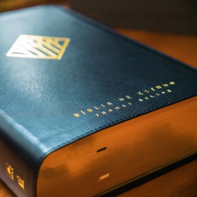 image_efc6ee8b-ef60-42ed-b871-c7cdbf4d8721