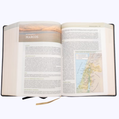 image_4ca24e3a-f2bc-4035-8f77-ea0e23a3c2be