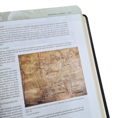 image_ff37c446-16d4-40ed-8a1f-c852cb331b25