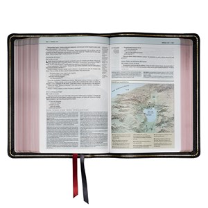 Bíblia De Estudo Thomas Nelson | NVI | Letra Normal | Capa Luxo Preto Couro Legítimo,
