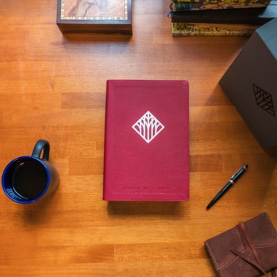 image_123df017-f1f5-47e4-8762-f4864754351d