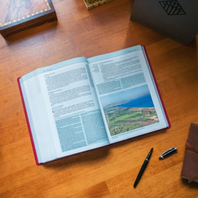 image_8e567e14-e7a4-413a-aa23-8df9e547d5bb