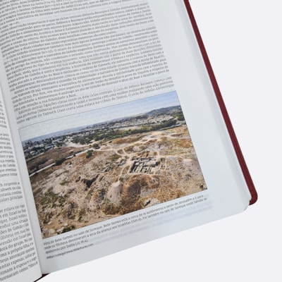 image_0855ea7e-4e77-422d-b329-f38f6d4ef5be