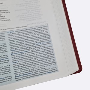 Bíblia De Estudo Thomas Nelson | NVI | Letra Normal |Capa Luxo Vinho