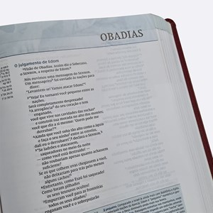 Bíblia De Estudo Thomas Nelson | NVI | Letra Normal |Capa Luxo Vinho