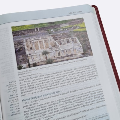 image_0fdd77e5-38d6-4766-b417-4597660c1af2