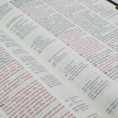 image_7f8b20af-4854-44c4-81f3-719c3db04ab4