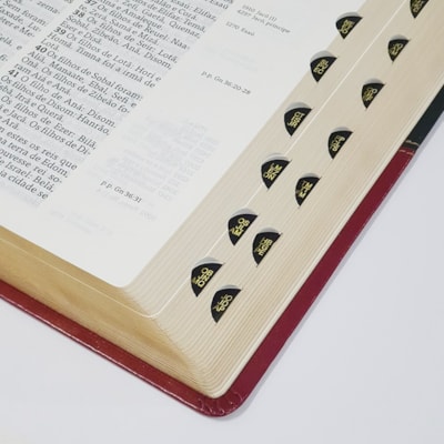 image_6bd5e6be-3b32-4009-98f0-212ae855b2d7