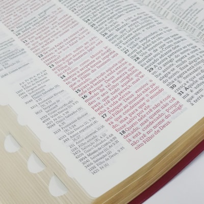 image_845ae1f4-eda9-4d19-a6c1-f2305f2818fc