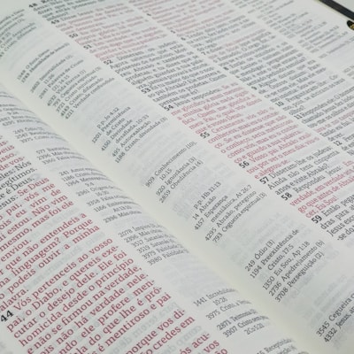 image_bc529feb-a09e-4066-bb49-05da9fbb8c22