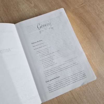 image_8615aa41-15b4-435b-bc60-b068fe7a0ff9