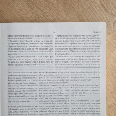 image_a1ae49cb-ea04-43b3-9bfb-a40926ced142