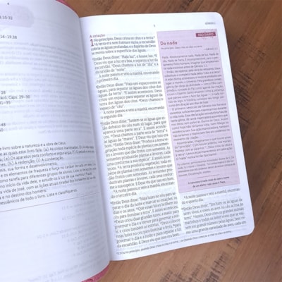 image_6ed74731-ddda-4db9-9557-5f85d0f3f256