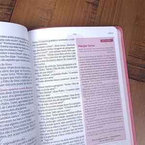 Bíblia de Estudos da Mulher | NVT | Letra Normal | Capa Luxo Rosa