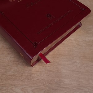 Bíblia de Estudos e Sermões de C. H. Spurgeon | NVT | Letra Normal | Capa Luxo Vinho