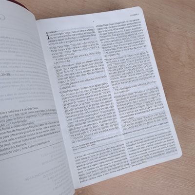 image_ae841b0b-5b74-45a4-9b3f-0cd59f1e3a5c