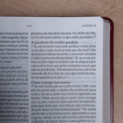 image_7167c059-08d3-4d42-8b11-0fd155f7e6b5