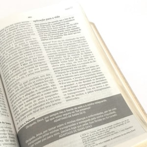 Segunda imagem do produto Bíblia de Estudos Joyce Meyer | NVI | Letra Normal | Capa Azul Leão