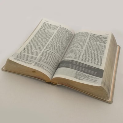 image_e03ed9a7-c90d-4bb1-90cc-72ec18d72fff