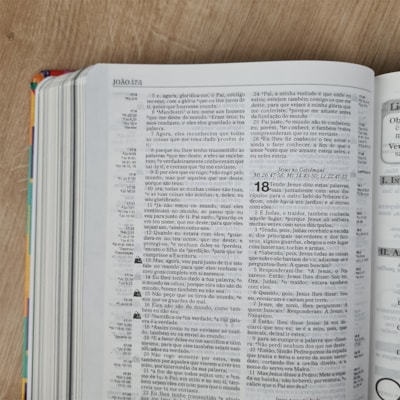 image_15576b30-ccd5-4af5-aeb9-1b6b5ebbd6f0