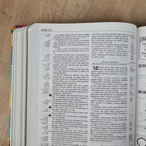 Bíblia de Recursos para o Ministério com Crianças | APEC | ARA | Capa Dura