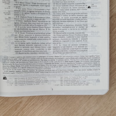 image_7cca7467-040f-4b44-b655-56085744e06b