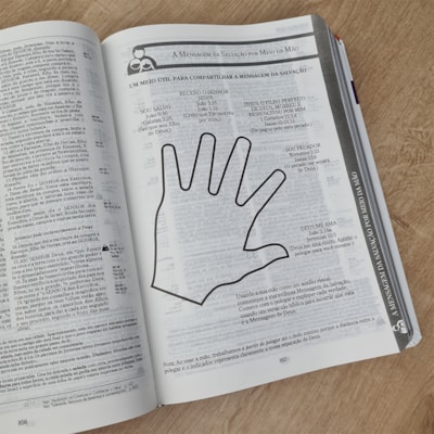 image_42244013-589c-4aa7-9baf-bbdd6103134b