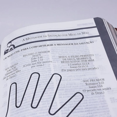 image_95519e8d-38e5-4d08-b603-7b805dda29d2