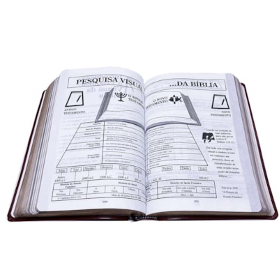 image_e2a73085-8d1c-4f5a-ae72-f863a0d91d5f