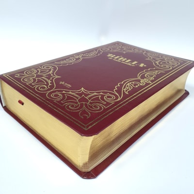 image_a99f1349-a055-4830-82b2-cbd4adeb8262