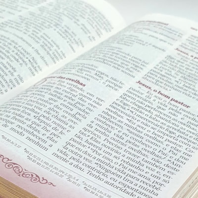 image_af0e8250-a13b-4d9e-a4ad-1ad5813c3ccc