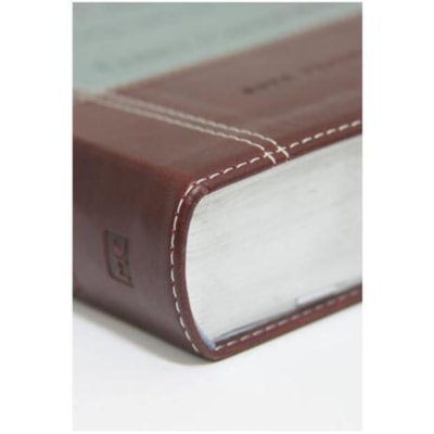 image_981cfca7-c47b-42d5-9b92-17ba18536823