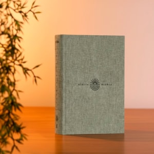 Segunda imagem do produto Bíblia Diária Cinza | NVI | Leitura Perfeita | Capa Dura C/ Tecido