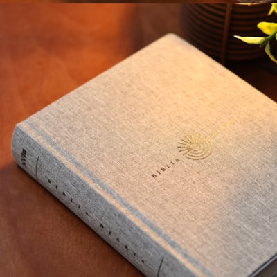 image_d759a1af-14a4-4331-8cfb-c0763773c7eb