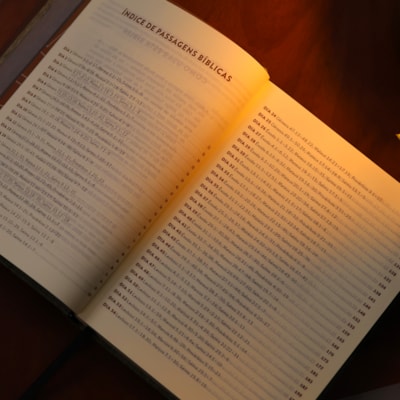 image_e916bcce-884d-40ac-b4d9-d2dd791028c3