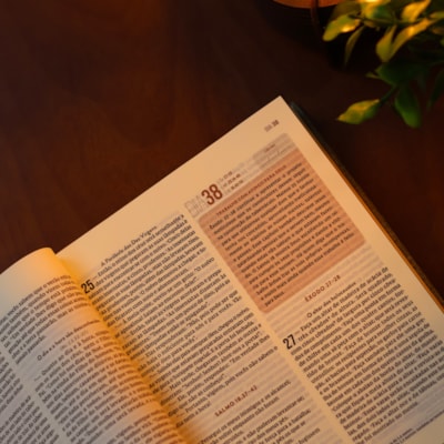 image_c58271a9-83e1-480a-ad3c-cc6483e5f32c