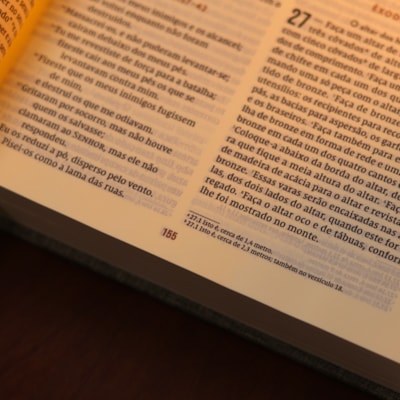 image_e9e11866-92ed-4cb0-ae32-438400bd3482