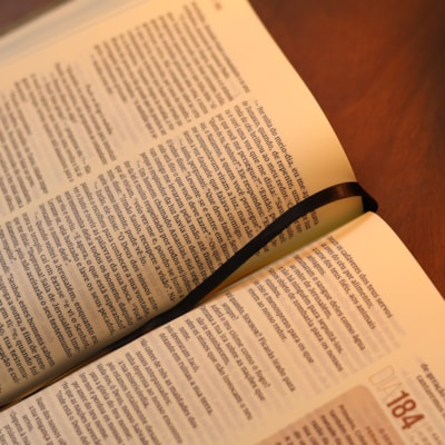 image_31768520-9922-47c5-bea9-1e2e72fbbc5f