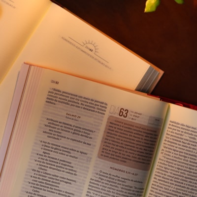 image_4b788754-30b2-4b19-aeda-84fc35a46e4d