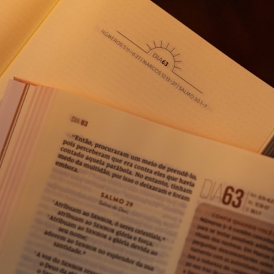 image_bf946a46-8969-4795-b51b-8e6ad1ccca76