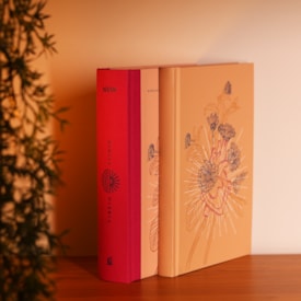 Segunda imagem do produto Bíblia Diária Coração Florido | NVI | Leitura Perfeita | Capa Dura C/ Tecido