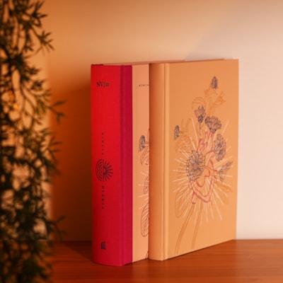 Segunda imagem do produto Bíblia Diária Coração Florido | NVI | Leitura Perfeita | Capa Dura C/ Tecido