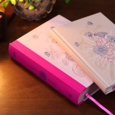 image_743fb417-0086-4516-a49e-e712ad8d2cfc