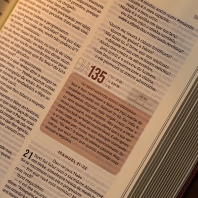 image_16a1bd03-96d9-48b9-8ee4-7e3f457db464